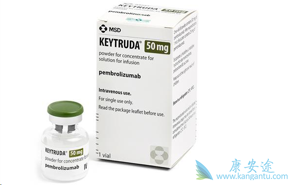 ���ں�ɫ��������