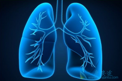 �����ķβ���������Щ����ͬ�β�����������Щ֢״���֣�