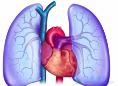 ����ά���ܻ��ã�����Щ����ҩ����ã�