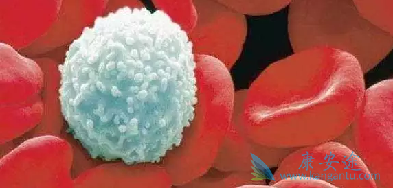 ��Ѫ���Ĳ���