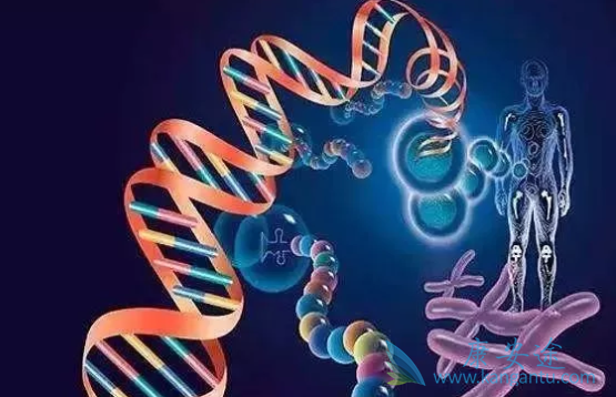 ���׺�����������