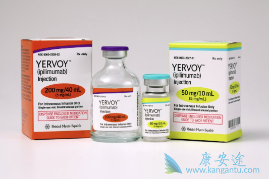 ���߼������Ƽ�