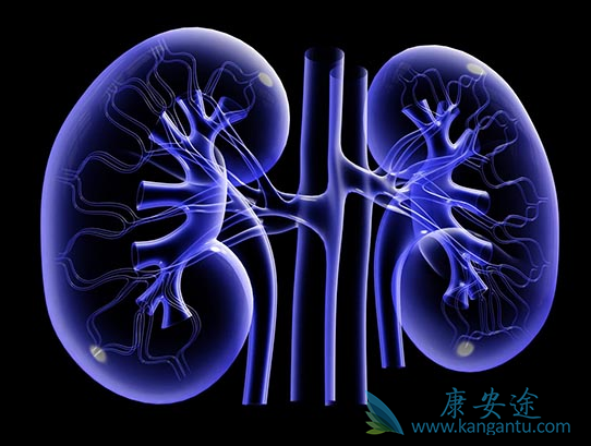 ����ת��