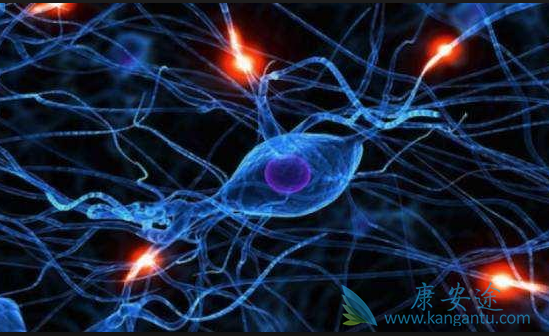 ����֯����