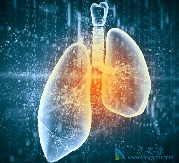 �����Է���