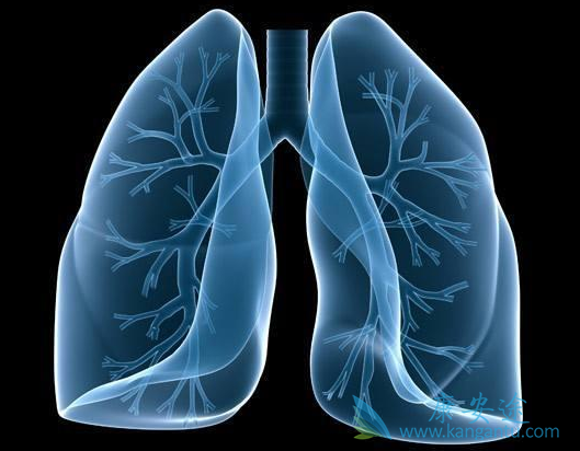 �����Է���