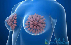 ���ٰ��ڷ������Ƶķ������ļ��֣�