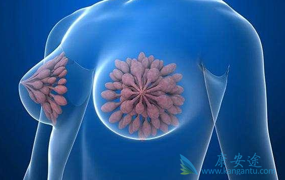 ���ٰ��ڷ�������