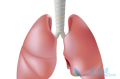 ���۰��İ����������ٰ���������ʲô��ͬ��