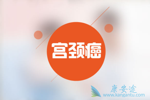 ��������ԭ��