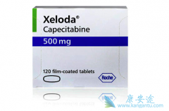 ����������Ŀǰ���������ٰ�������Ψһ�Ʒ�