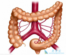 ���׵ô󳦰��ĸ�Σ��Ⱥ������Щ��