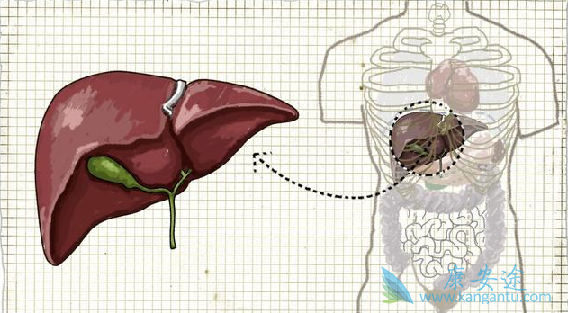 ��Ӳ������