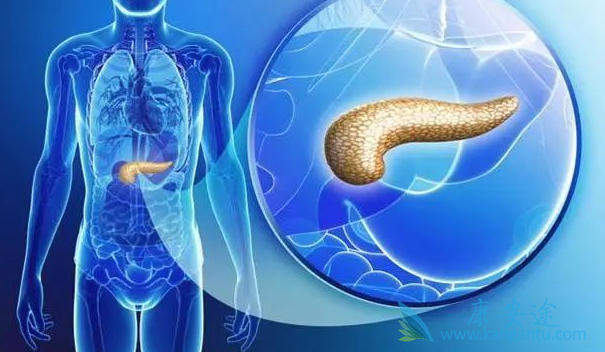 ���ٰ������ܻ���