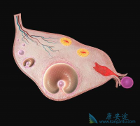 �ѳ����������ð�������������