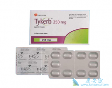 ʹ����������(Lapatinib)�������ٰ���Ҫ�����Ƴ̣�