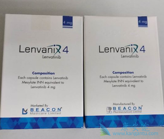 �ַ�����