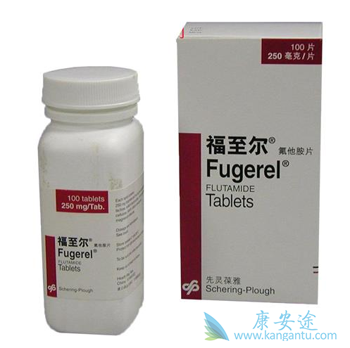 ������Ƭ