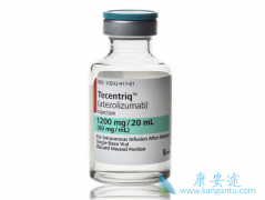 ��������ҩ��PD-L1����TҩIҩ�ڹ�����������