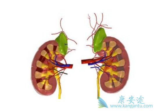 ����ת��