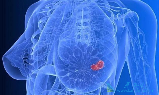 ���ٰ���ԭ��