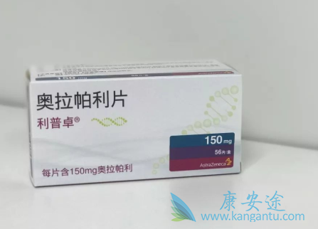 PARP抑制剂 PARP抑制剂