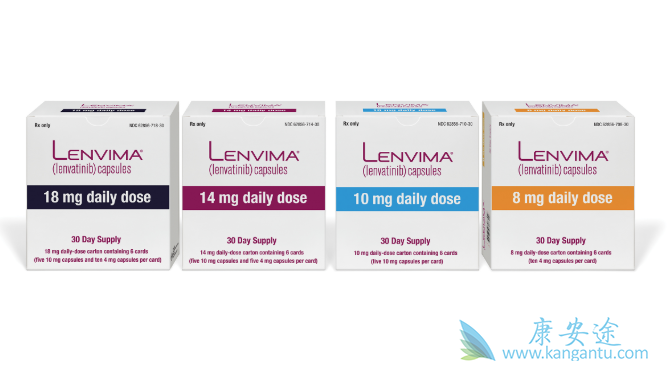 �ط�����