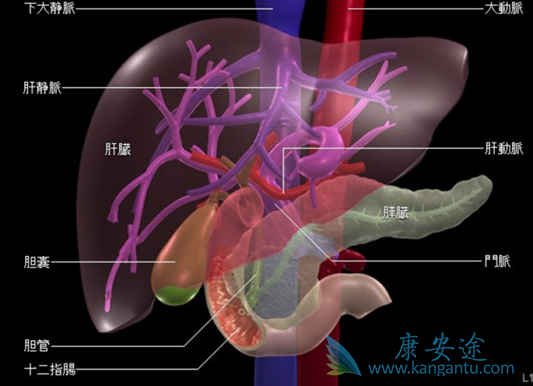 ��ϸ��������