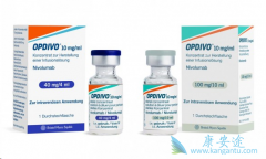 PD-1���Ƽ�Oҩ��Kҩ�ĸ��ȽϺã�