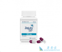 û��ͻ����ѳ���Ҳ��������������(niraparib)������