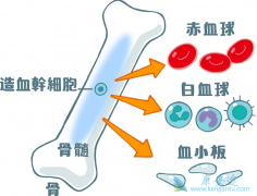 ��δӸ�����������Ѫ�������Ƿ���Ч��