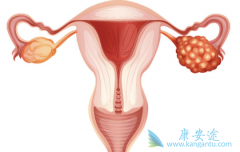 �ѳ��������ڼ������Щ�����ã�����δ�����