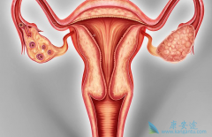 �ѳ������Ŵ�����Щ�����ѳ����ĸ߷���Ⱥ��