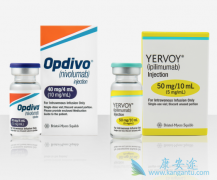 ����ЩPD-1ҩ��������ƻ�����ܰ�����