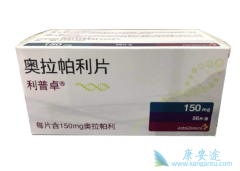 ����ҩ��PARP���Ƽ��������ٰ���Ч������