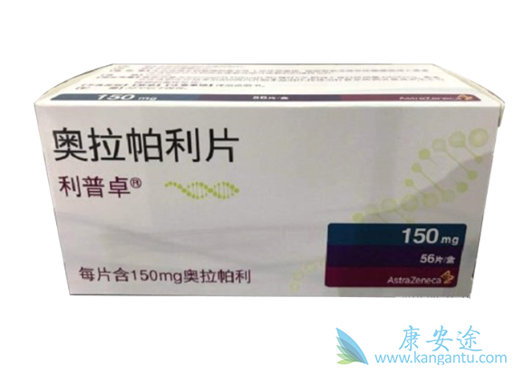 PARP抑制剂 PARP抑制剂