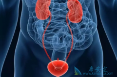 ��Ī¬��������߶�����������·��Ƥ������Ч��