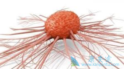 ����֯����