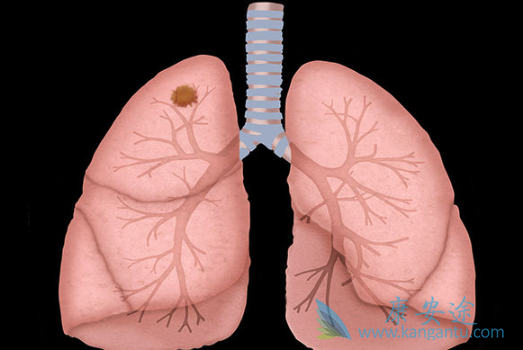 �ΰ����ڳ�ʲô��