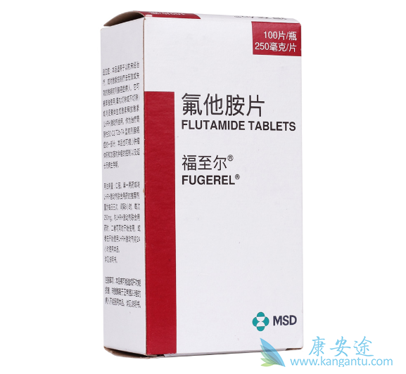 ������Ƭ