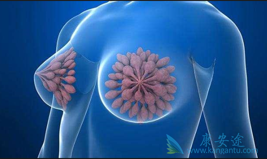 ���ٰ��ڷ�������