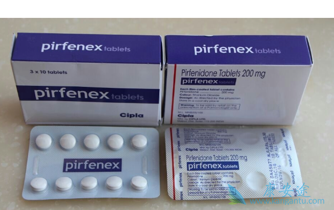 ������ͪ˵����