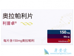 PARP���Ƽ����������������ǰ���ٰ�������