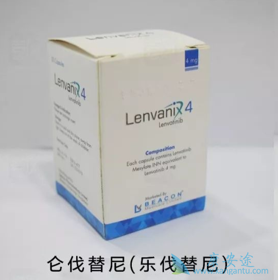 �ַ�����