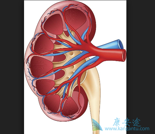 ����ת��