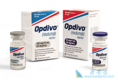 PD-1���Ƽ�Kҩ��Oҩ���Խ���ʹ����