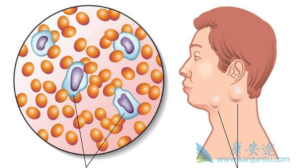 �ǻ�����ܰ���