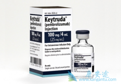 Keytruda�ڹ������Ѿ�����׼һ�����Ʒ�Сϸ���ΰ�����