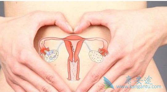 �ѳ�������