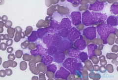 ��ο˷��෢�Թ��������ƺ����ҩ��